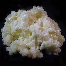 ACTIVE MILK KEFIR GRAINS price in Pakistan