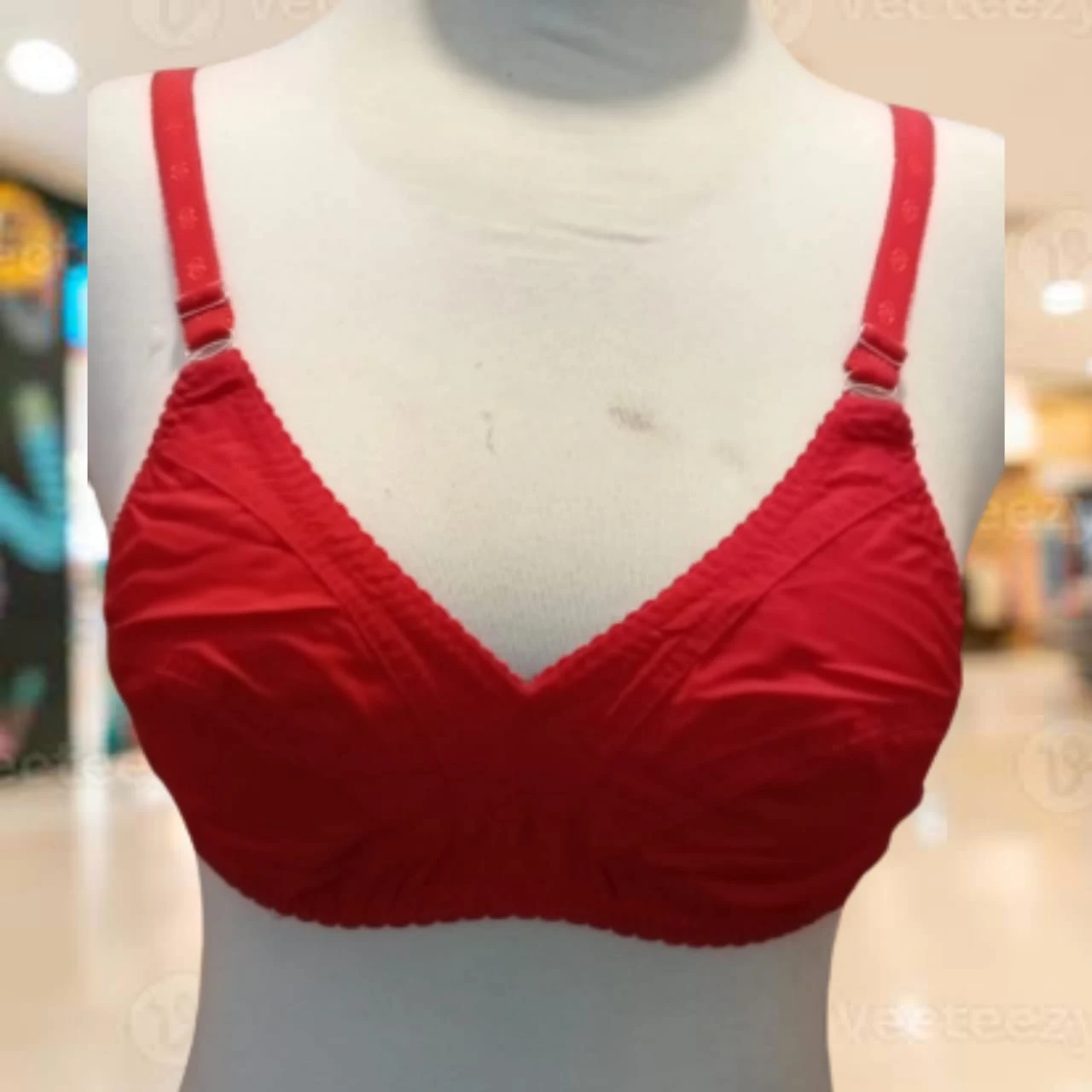 Mahroon Same Embroidery Bra Brazer for Women Ladies Girls price in Pakistan