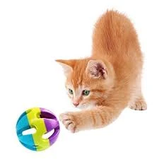Cat plastic Playing Ball with bell price in Pakistan