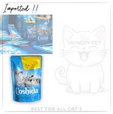 Cat Wet Jelly Food – Gravy – 100g price in Pakistan