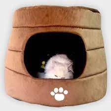 Cucoon Pet House – Convertible small price in Pakistan