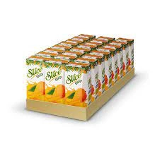 Pack of 24 Mango Juice 200ml price in Pakistan