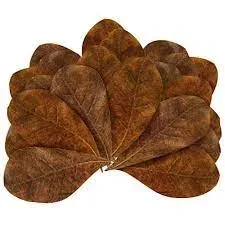 Indian Almond Leaves for Aquarium – 4 pieces Best For Betta And All Fishes price in Pakistan
